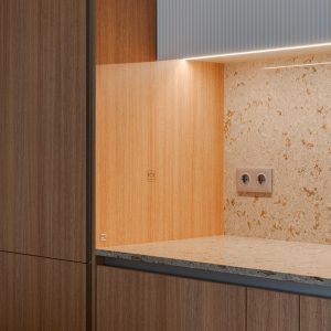 Shevchenkovsky_10Floor-13